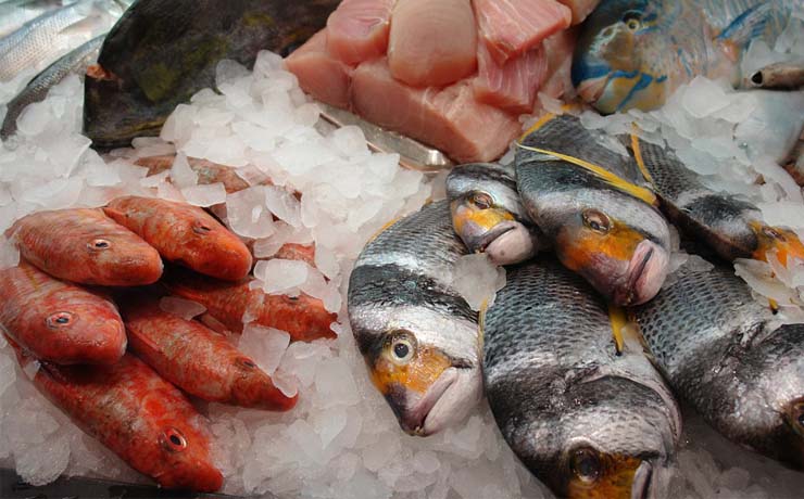 Importancia de la Pesca Mexicana y sus variedades