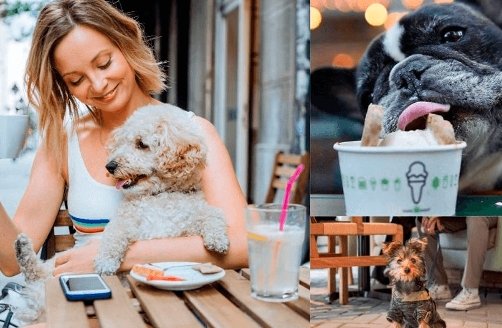 Pet friendly, la tendencia que llegó para quedarse.