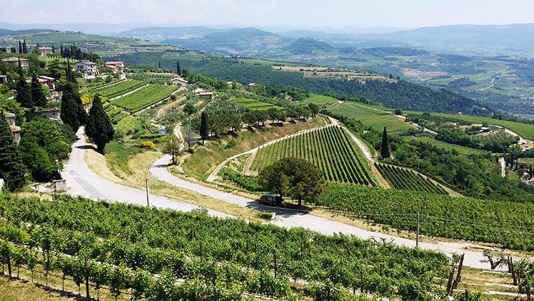 Amarone el gran vino del norte de Italia