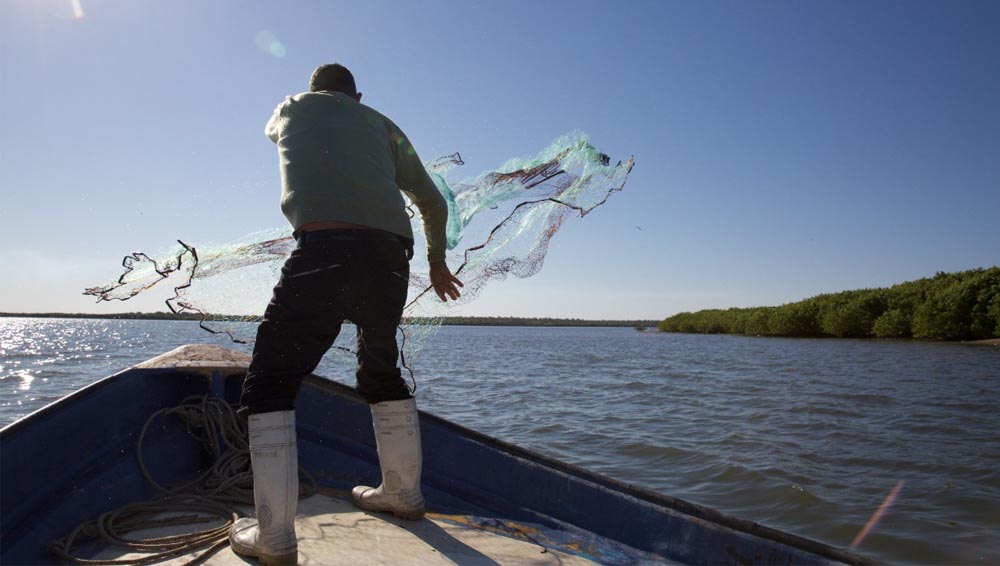 ¡Viva la Pesca! Foro de Sustentabilidad Pesquera