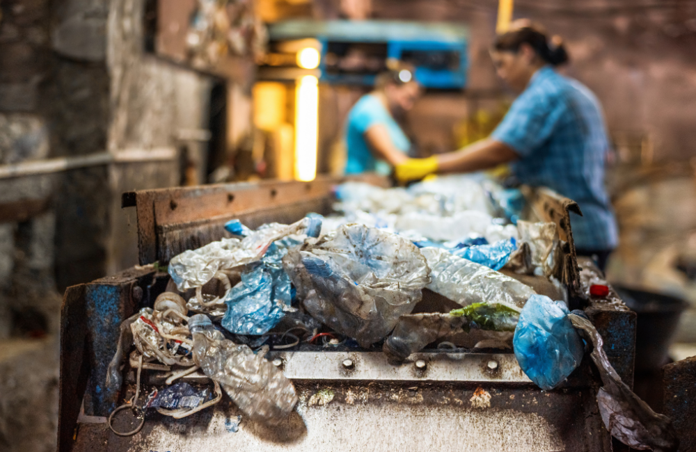 Low waste, un movimiento ecológico