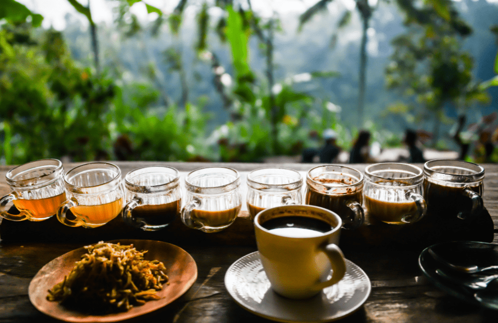 Kopi Luwak, el café más caro