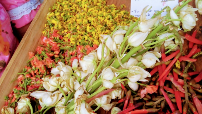 Oaxaca y flores