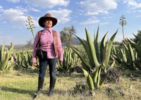 Ruta de Luciérnagas y Pulque en  Rancho la Soledad