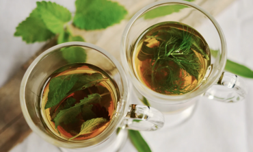 Descubre los Secretos del Té y Mejora tu Salud con Magefesa