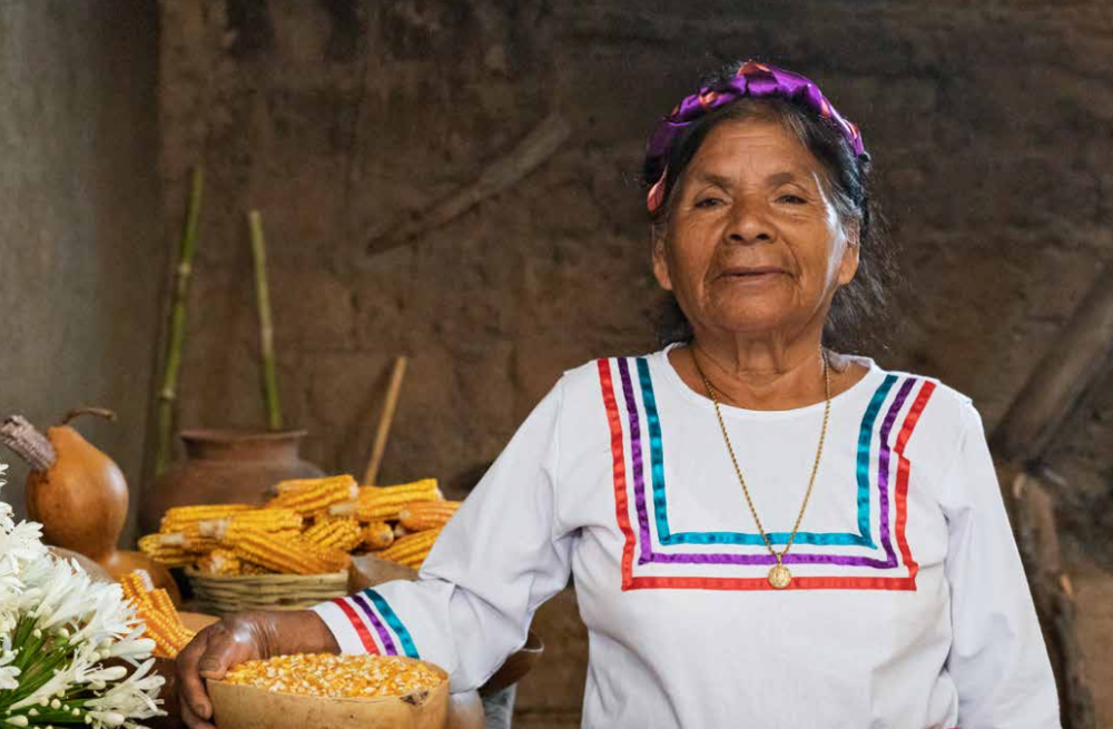 libro bebidas de oaxaca