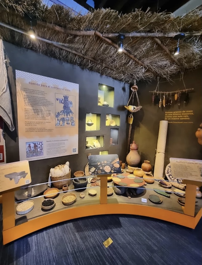 MUSEO HERDEZ