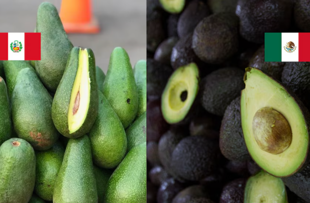 aguacte
