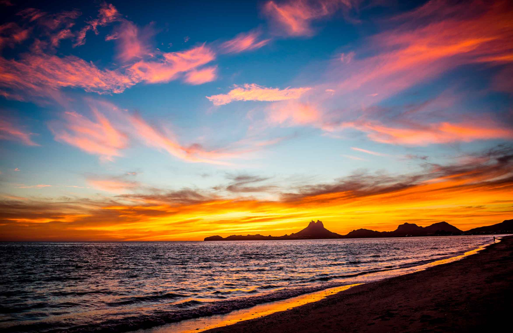 Los sabores que solo nacen en Sonora (y que podríamos perder)