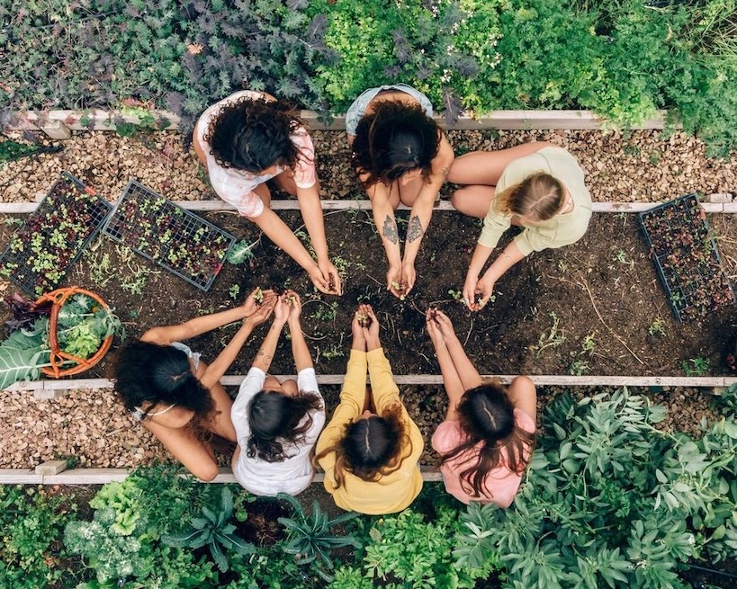 Gestión gastronómica: la clave para un futuro rentable y sustentable