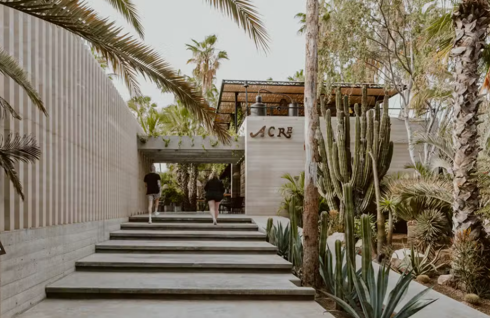 Acre Restaurant & Cocktail Bar, Baja California Sur. OpenTable