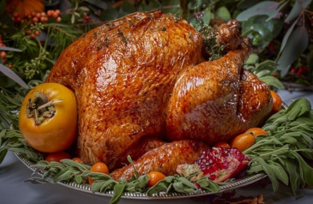 Pavo dia de acción de gracias