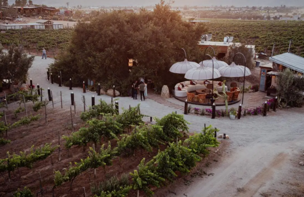 OpenTable revela el Top 50 Restaurantes de 2025 en México y anticipa las tendencias gastronómicas que dominarán 2026