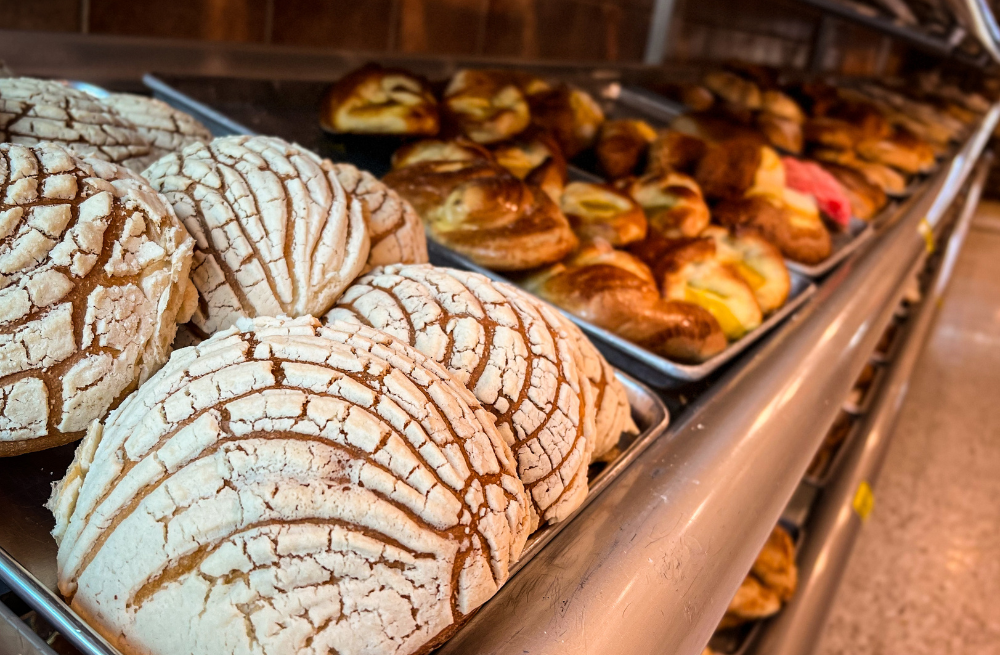 El pan de cada día: historia, diversidad y significado de la panadería mexicana