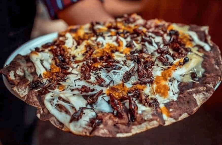 Picnic Gastronomico