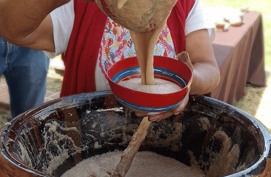 Picnic Gastronómico