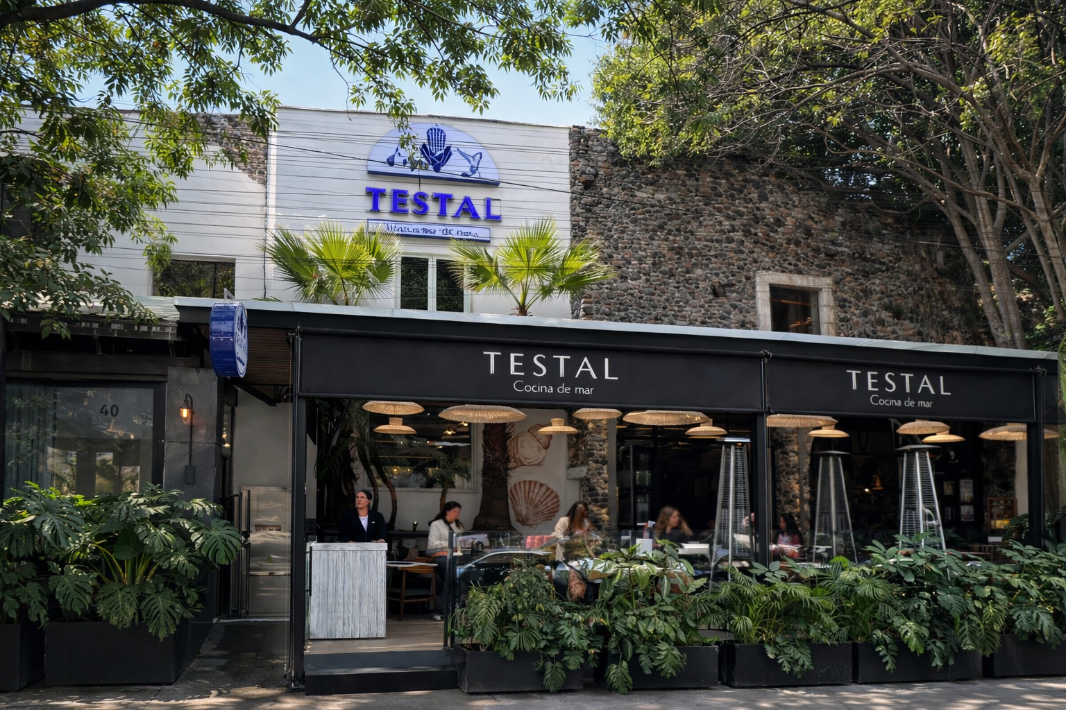 TESTAL Cocina de Mar: El nuevo epicentro de la gastronomía mexicana en Polanco